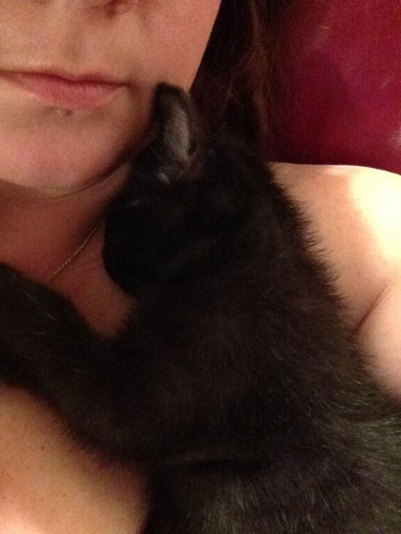 Already had Luna but this was the day I got Dexter. So then it was Dexter and Luna and Gandalf.